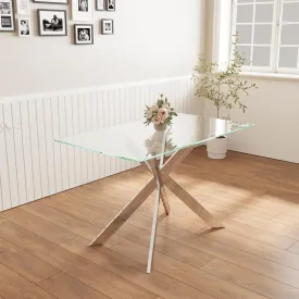 47.2 inch Modern Minimalist Tempered Glass Coffee Table, Metal Leg Rectangular Dining Table, Transparent Glass Living Room Dining Table, 47.2 inch x27.5 inch,29.5 inch Small Space Suitable